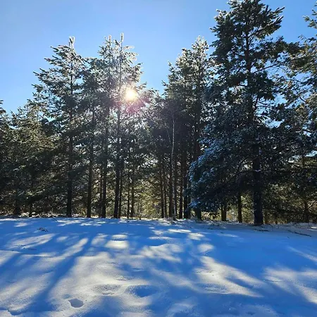 Lägenhet Kota 992 Divčibare