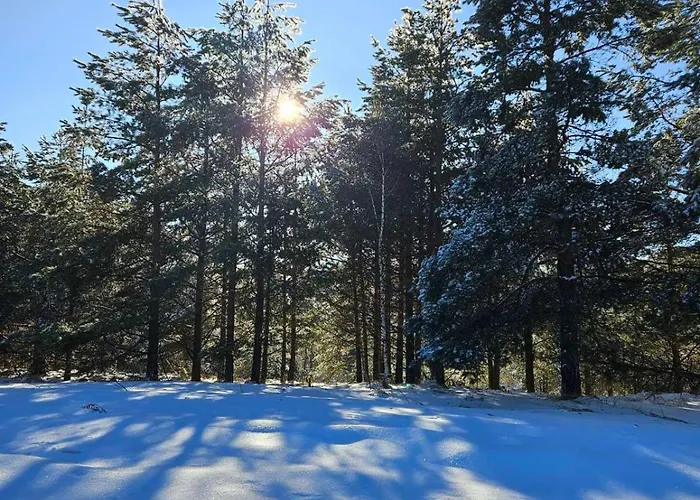 アパート Kota 992 Divčibare